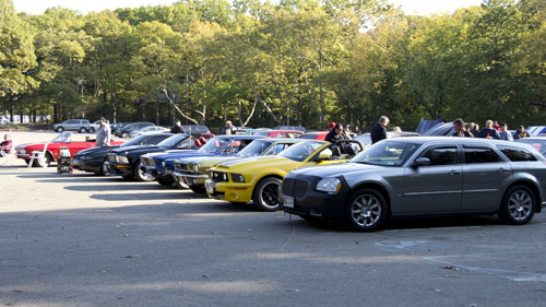 Mustangs at the car show in forest park