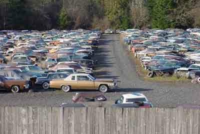 Cadillacs in junkyard