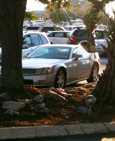 Cadillac xlr in trees